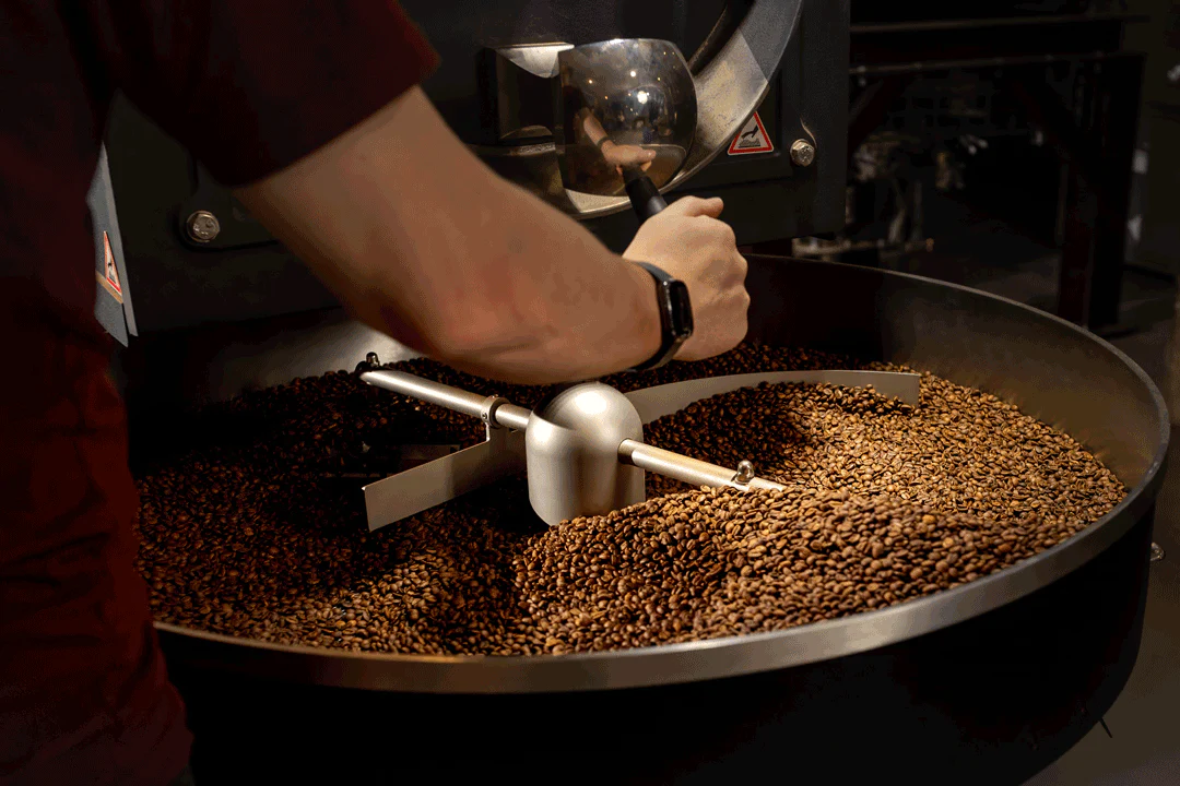 Elevate Every Morning Brew